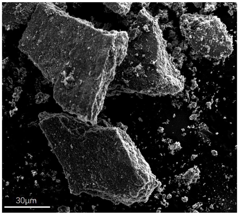 Cobalt and nitrogen co-doped carbon nanosheet material and preparation and application thereof