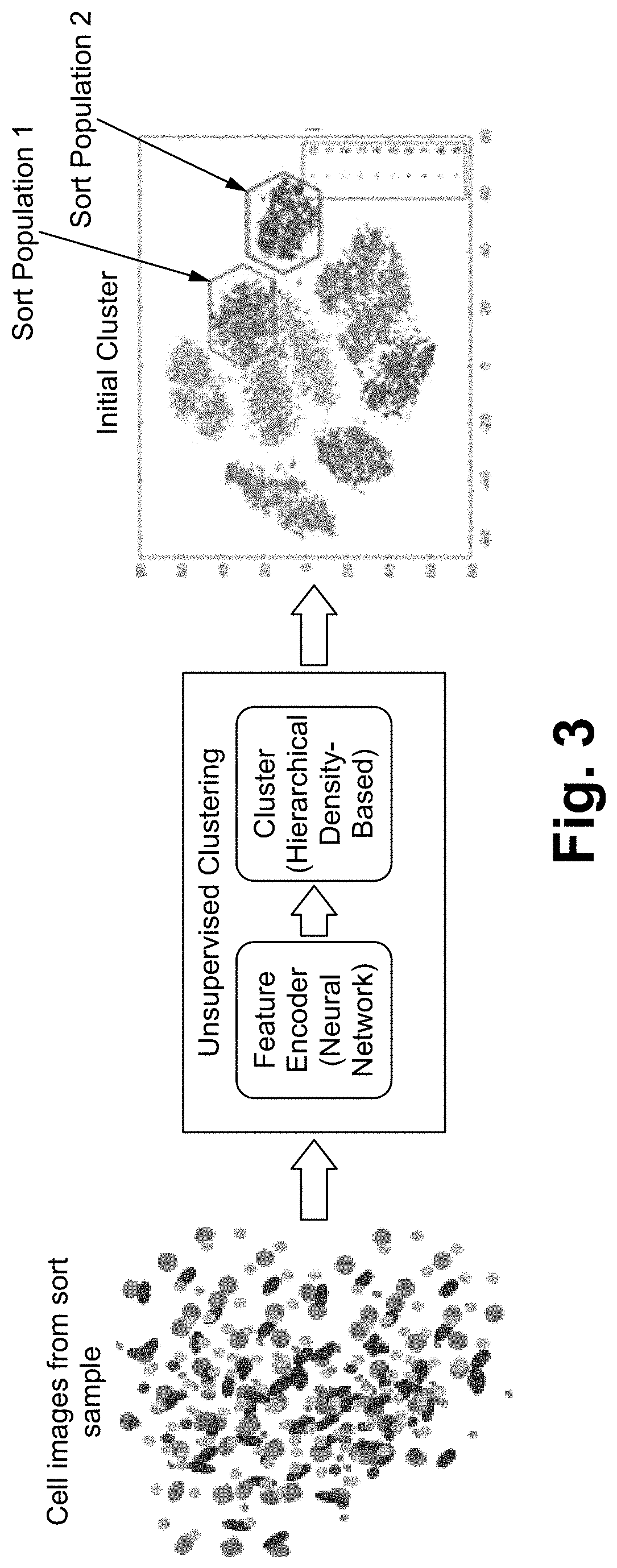 Classification workflow for flexible image based particle sorting