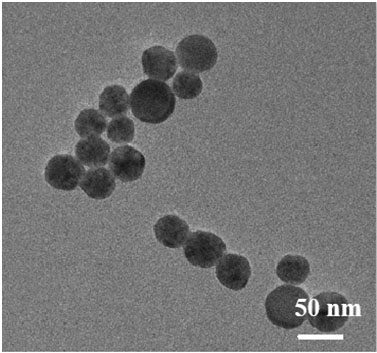 Gold nanoparticles based on hyaluronic acid modification, preparation method of gold nanoparticles, and application of gold nanoparticles as nano-drug carrier