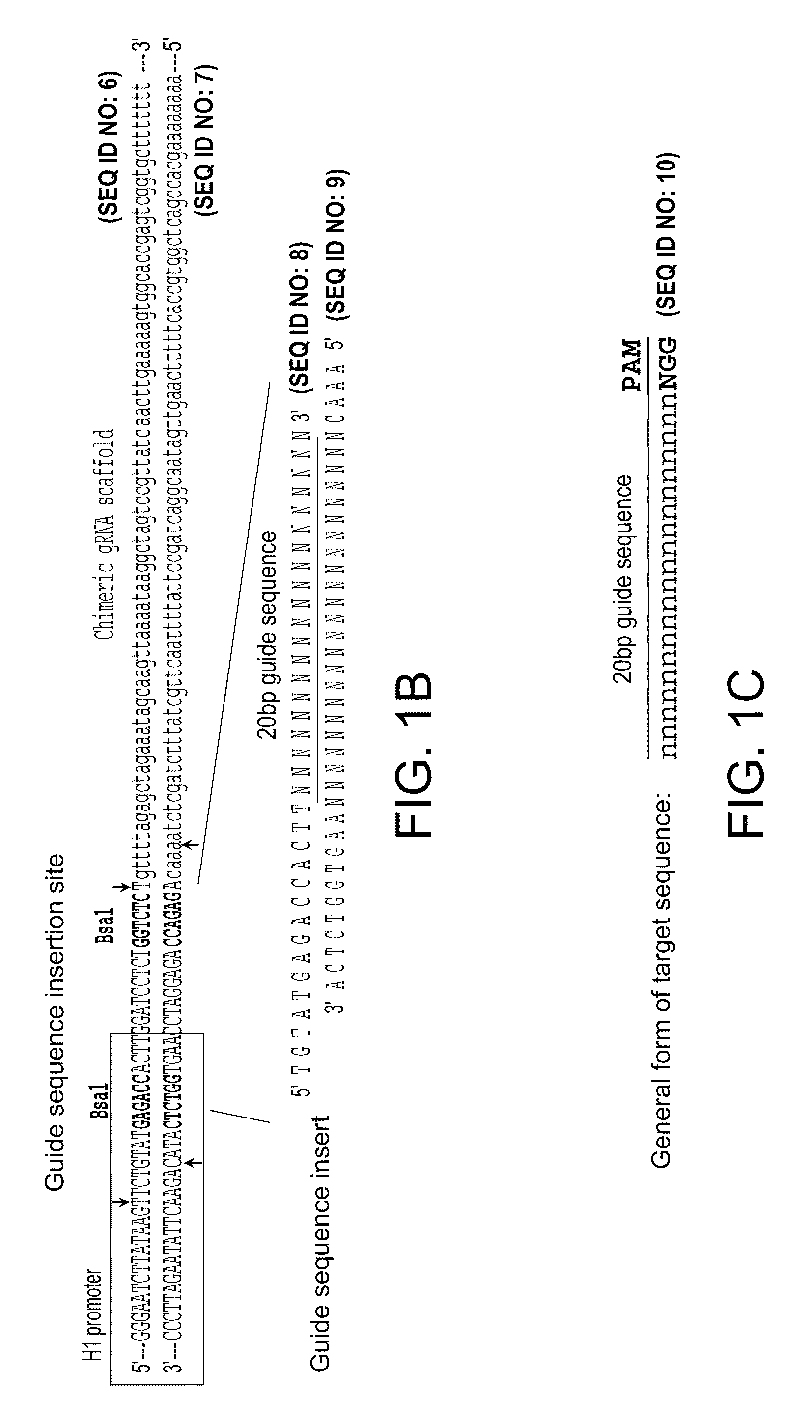 Compositions and methods directed to CRISPR/Cas genomic engineering systems