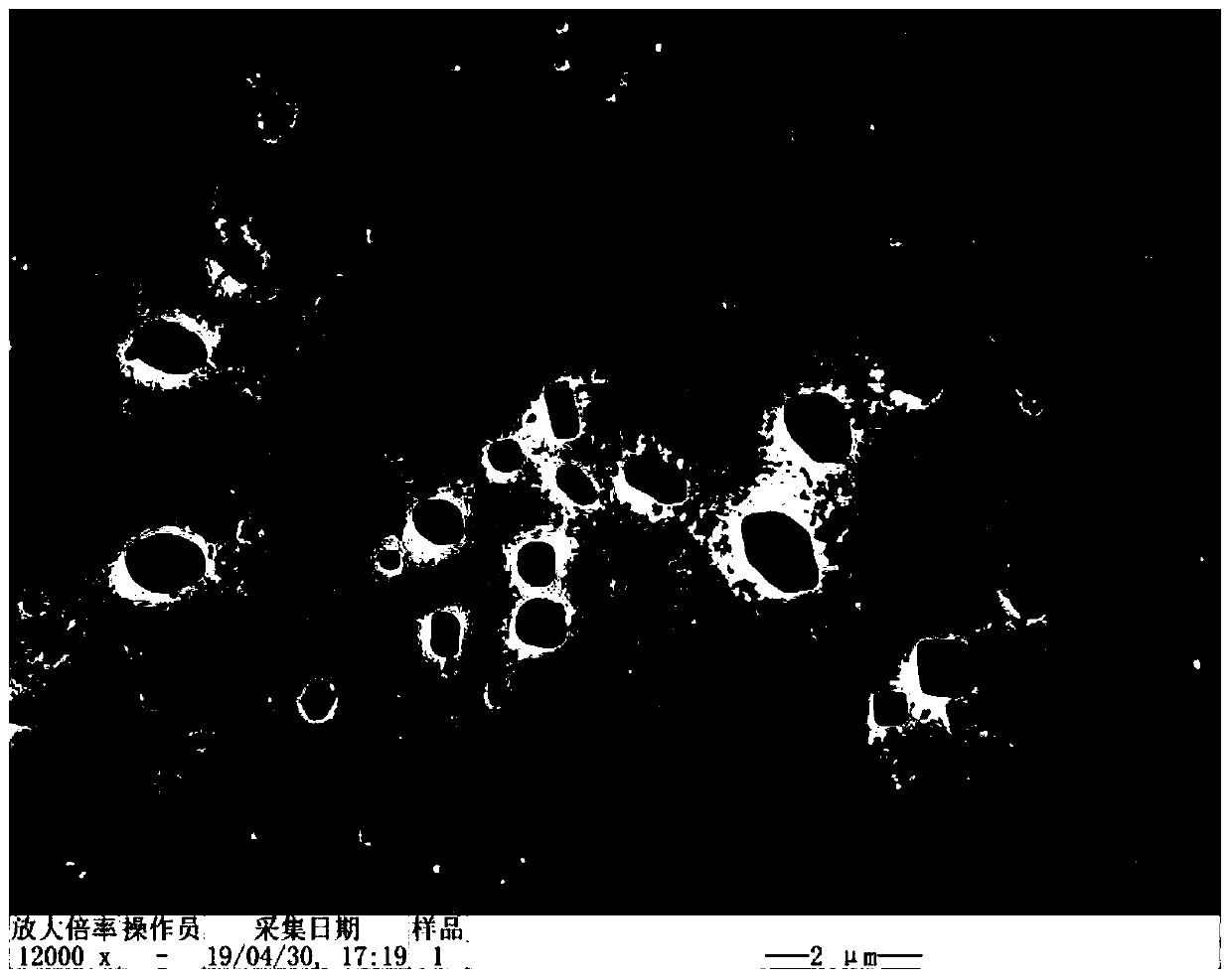 Method for extracting magnetic particles from honeybee