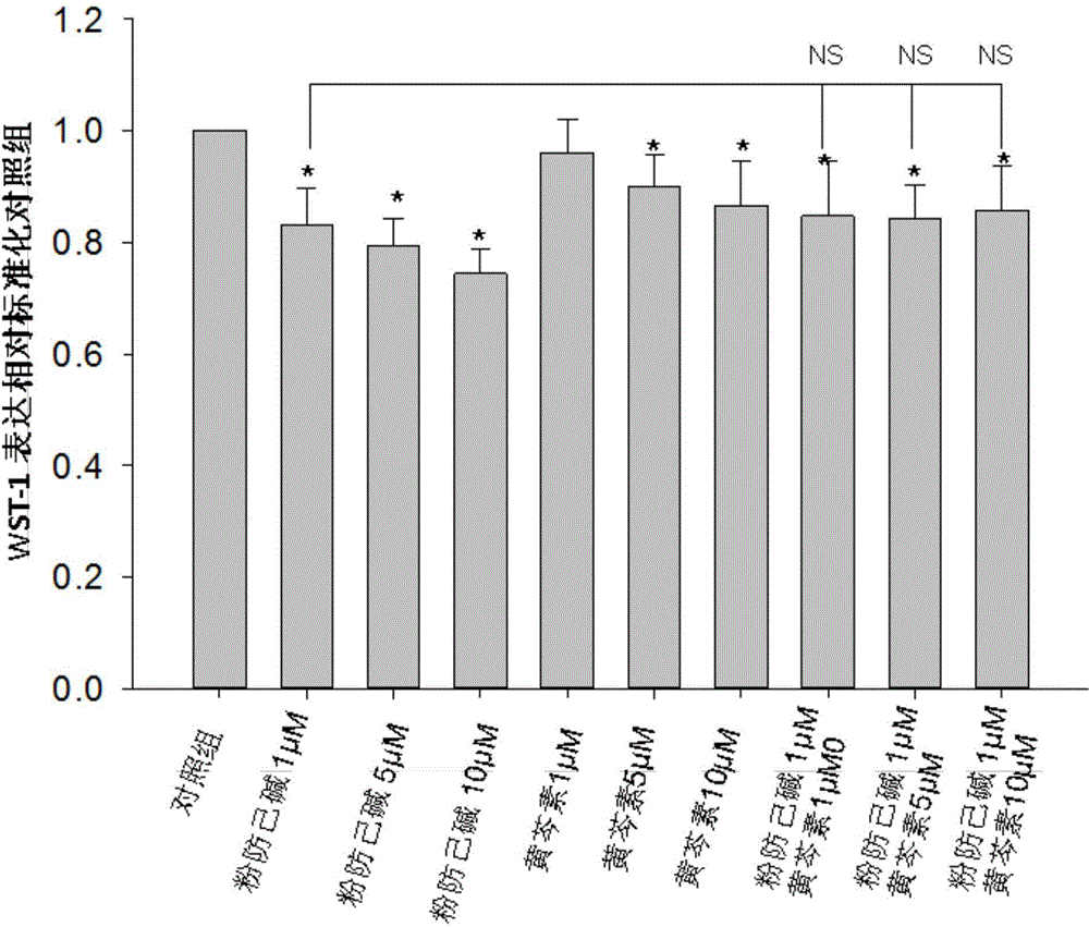 Pharmaceutical composition with synergistic effect and myofibroblast capable of resisting organ fibrosis and tumor stroma and application