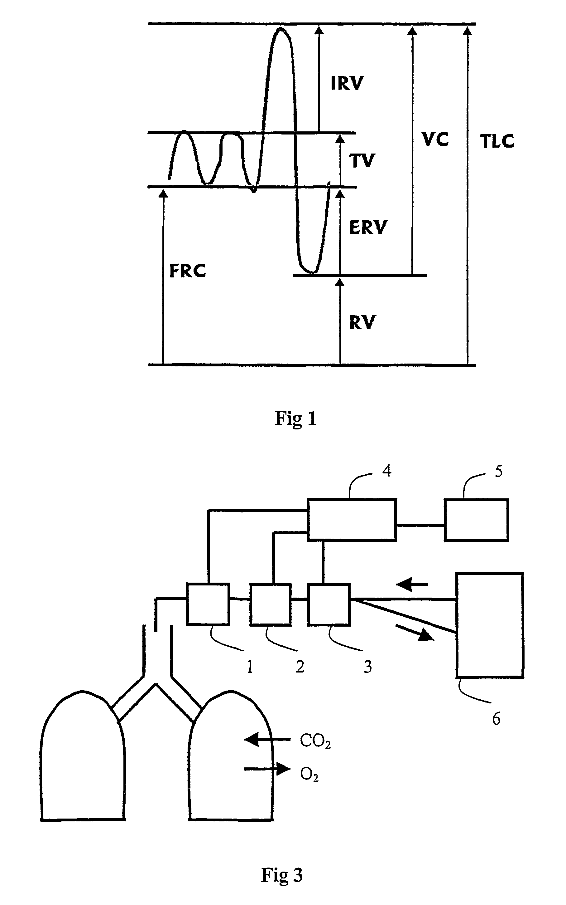 Method and apparatus for measuring functional residual capacity (FRC) and cardiac output(CO)