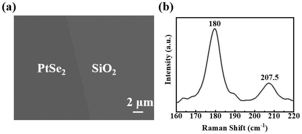 Heterojunction structure and photoelectric detector based on platinum diselenide and silicon, and preparation method of heterojunction structure and photoelectric detector