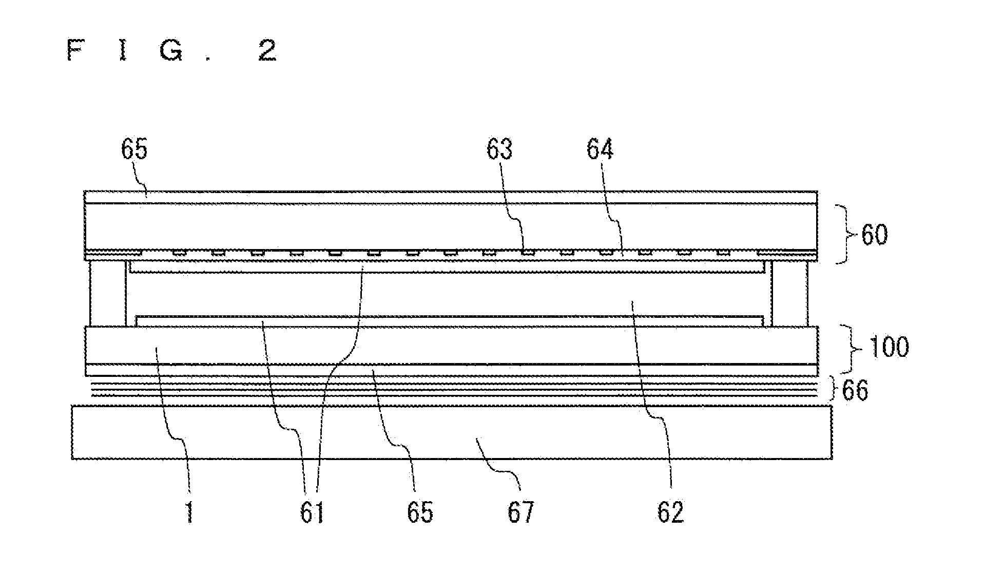 Wiring structure, thin film transistor array substrate including the same, and display device