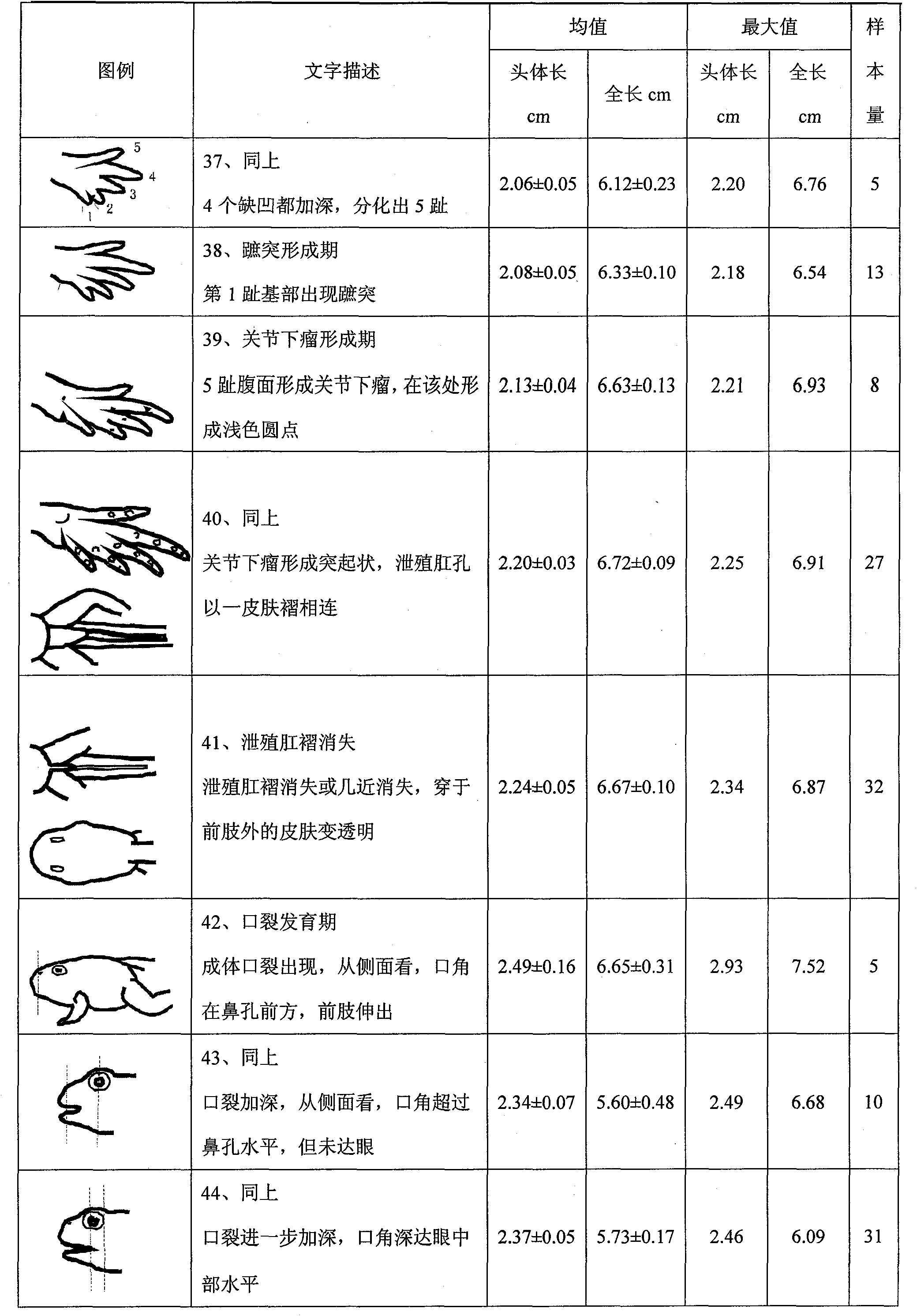 Method for quickly evaluating Rana spinosa tadpole feeding situation