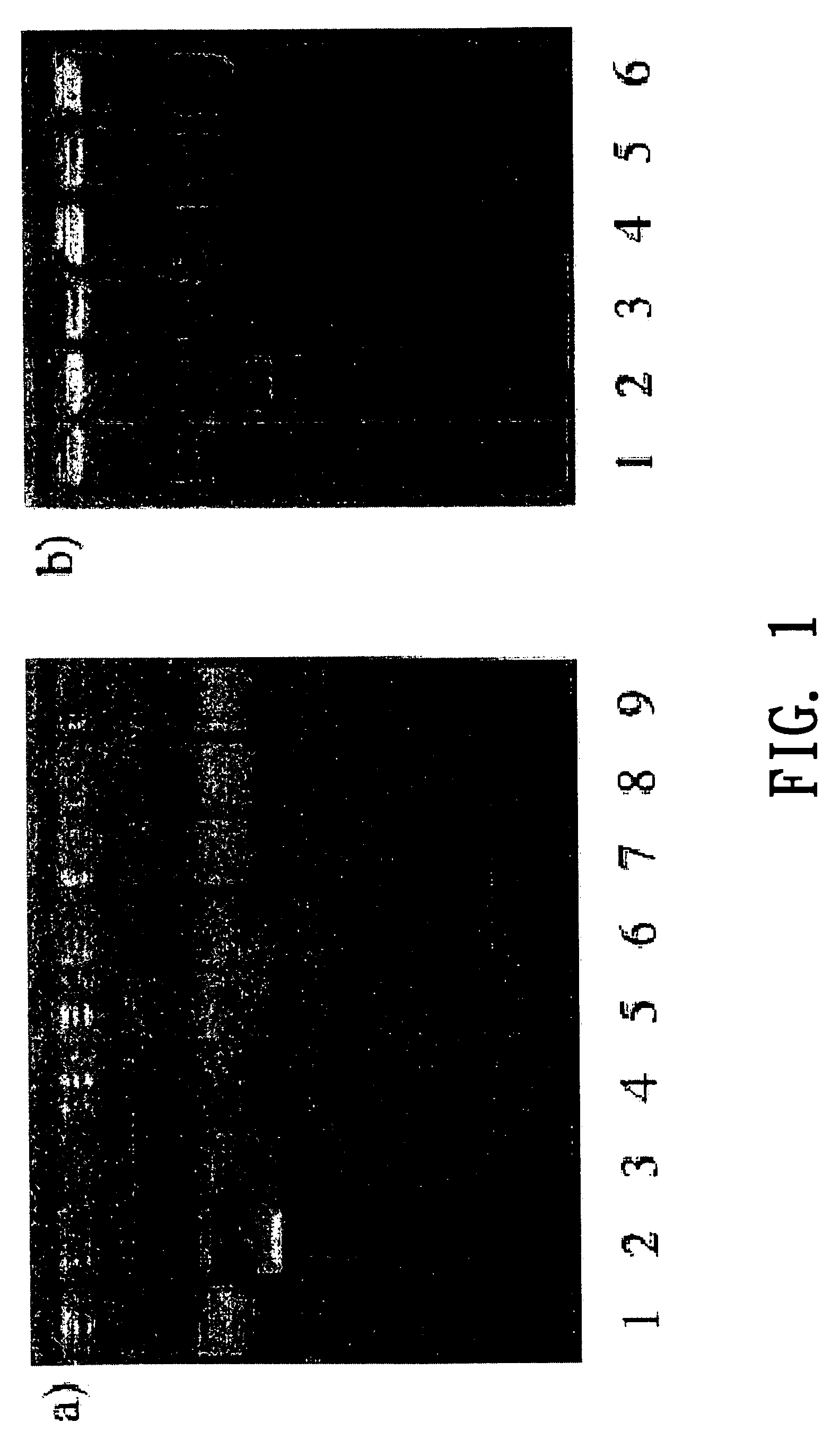 Pharmaceutical compositions comprising aryl-substituted acyclic enediyne compounds