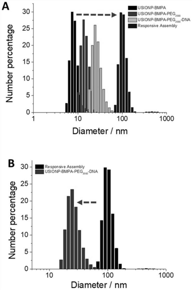 pH-responsive magnetic nanoparticle assembly and its preparation method and application