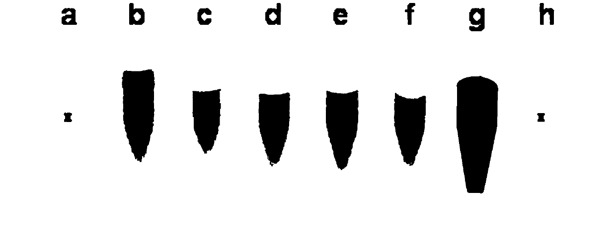 Radial shape of polymer compound containing iodine, preparation method thereof, and ct contrast medium composition containing same