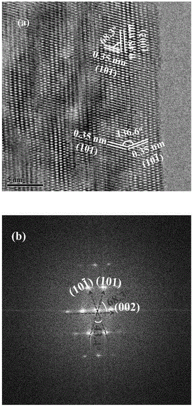Anatase titanium dioxide nanoribbons exposing {010} crystal face and preparation method thereof