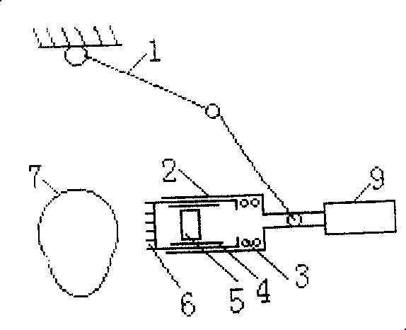 Apparatus for automatic hair dressing