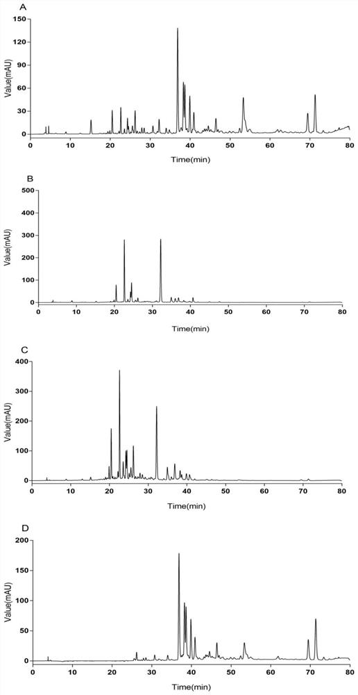 Use of Poplar Bud Extract in Preparation of Lipoxygenase Inhibitor