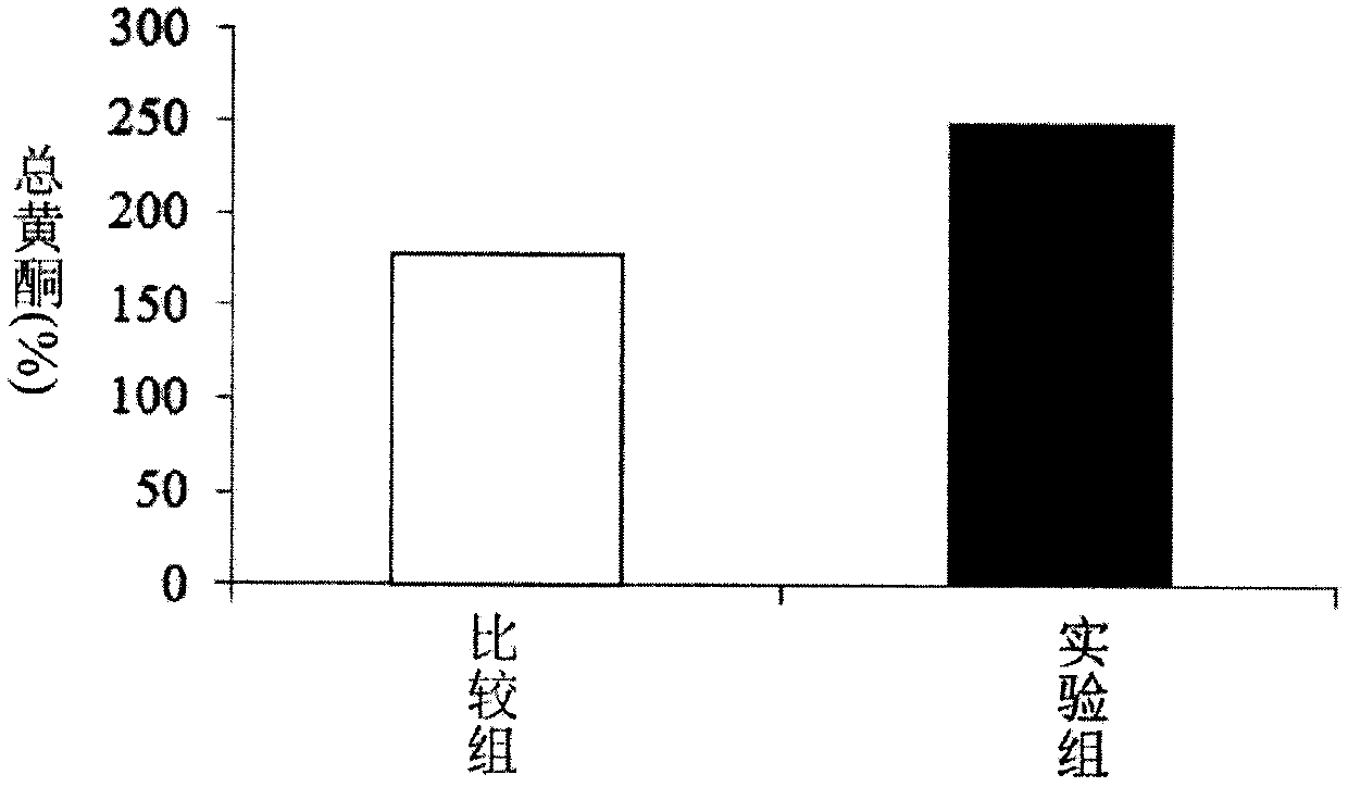 Plant fermentation product and use thereof for regulating gene expression and cardiovascular care