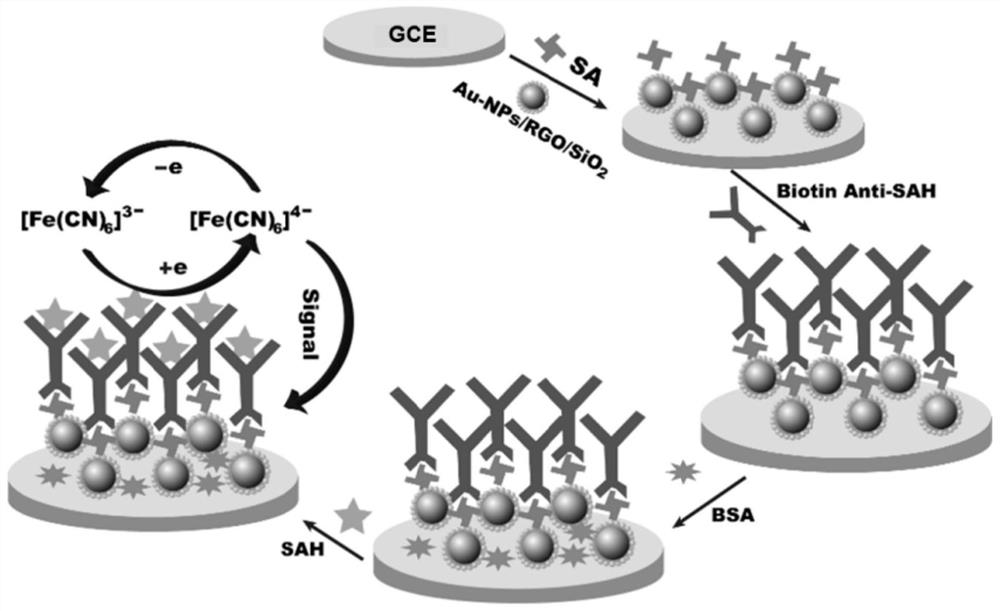 Electrochemical immunodetection method of total homocysteine