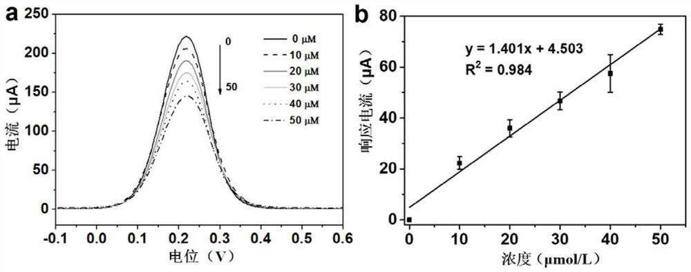 Electrochemical immunodetection method of total homocysteine