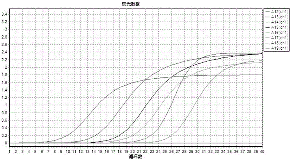 Primers and probes for quantitative detection of Candida albicans and their application