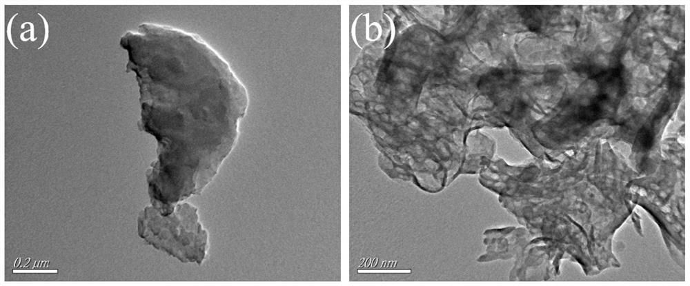 Preparation method and application of two-dimensional porous few-layer g-C3N4 nanosheet photocatalyst