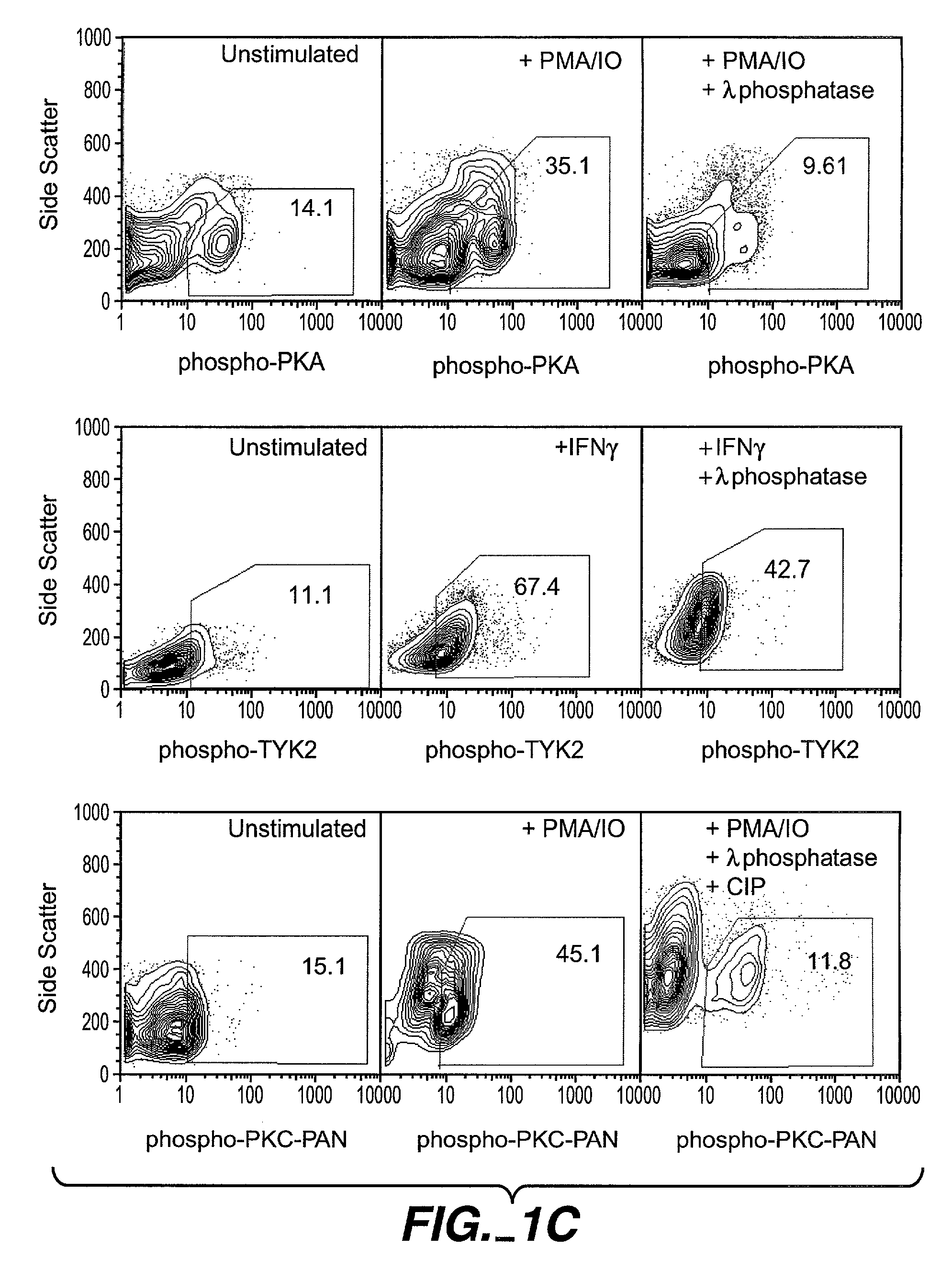Methods and compositions for detecting the activation state of multiple proteins in single cells