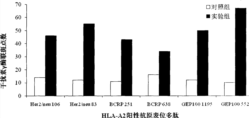 Preparation method of breast cancer-specific epitope polypeptide-loaded dendritic cell vaccine and kit thereof