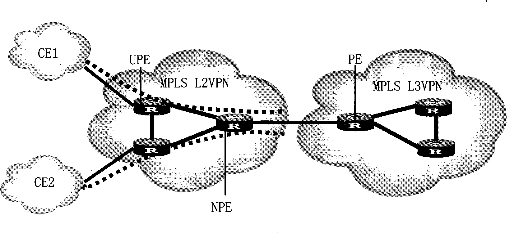 Method and apparatus for accessing multi-protocol label switch virtual special-purpose network