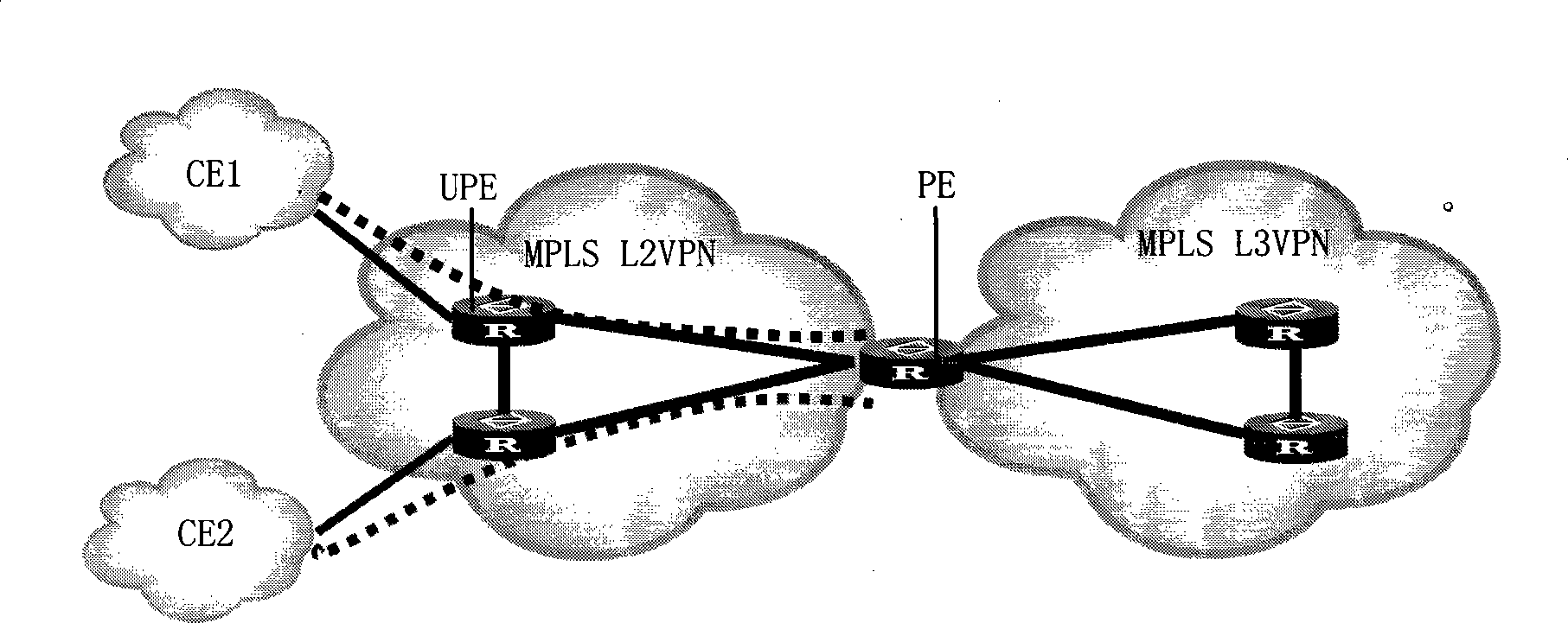 Method and apparatus for accessing multi-protocol label switch virtual special-purpose network