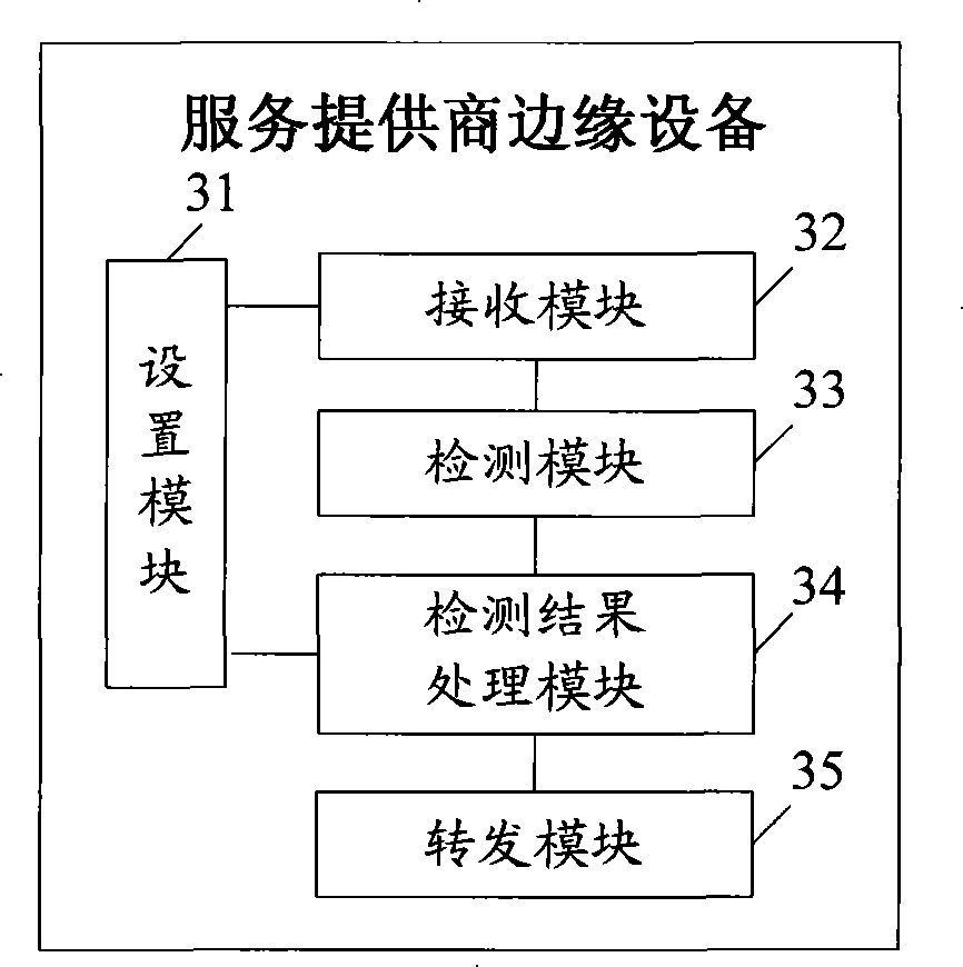Method and apparatus for accessing multi-protocol label switch virtual special-purpose network