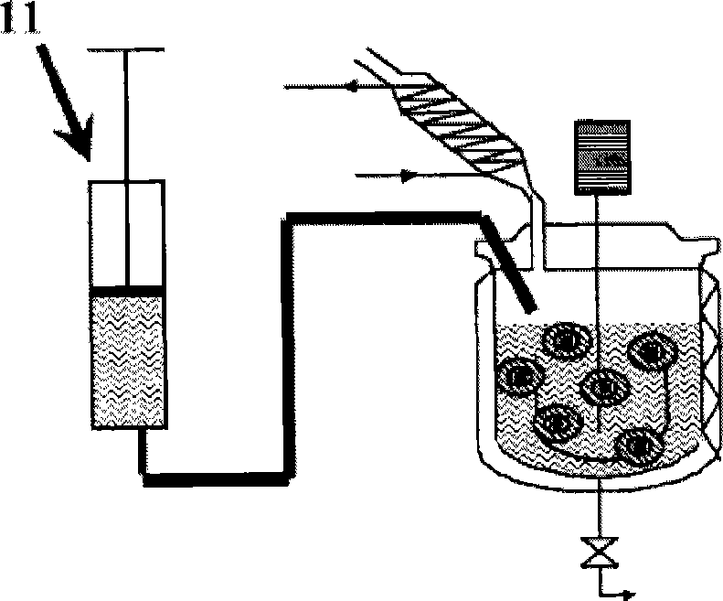 Aqueous polymer dispersion and process