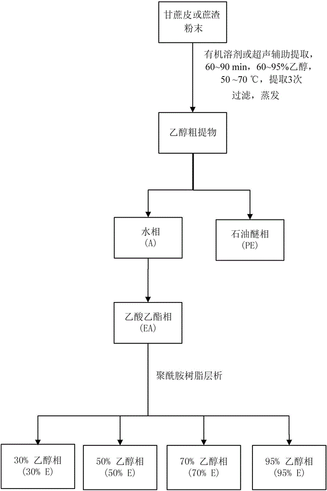 Sugarcane polyphenols extract and preparation method and application thereof
