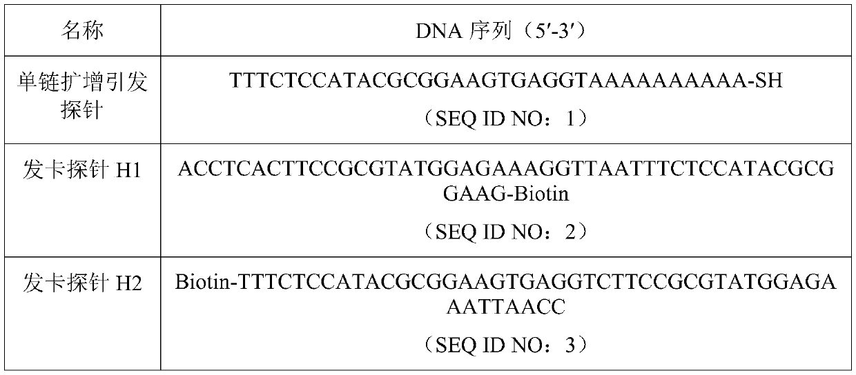 Kit for detecting Listeria monocytogenes based on immune double-labeled colloidal gold probe and hybrid chain amplification, application and detection method