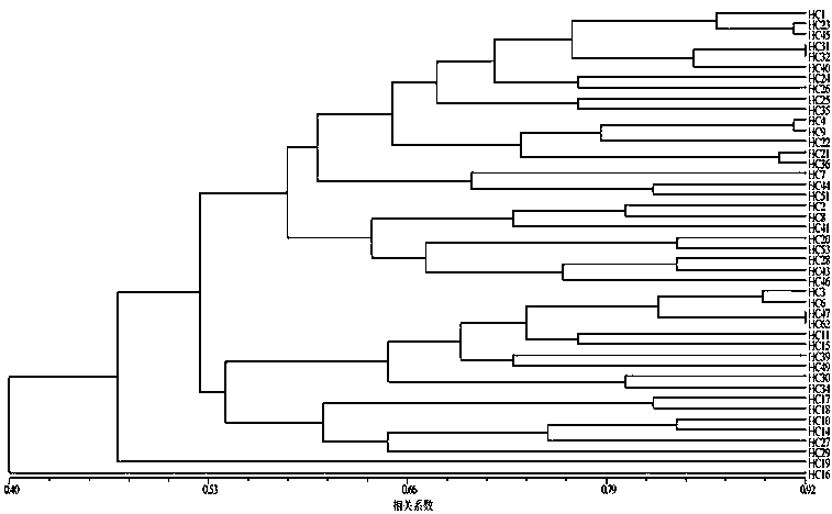 Hibiscus cannabinus L. drought response gene EST-SSR primers and kit