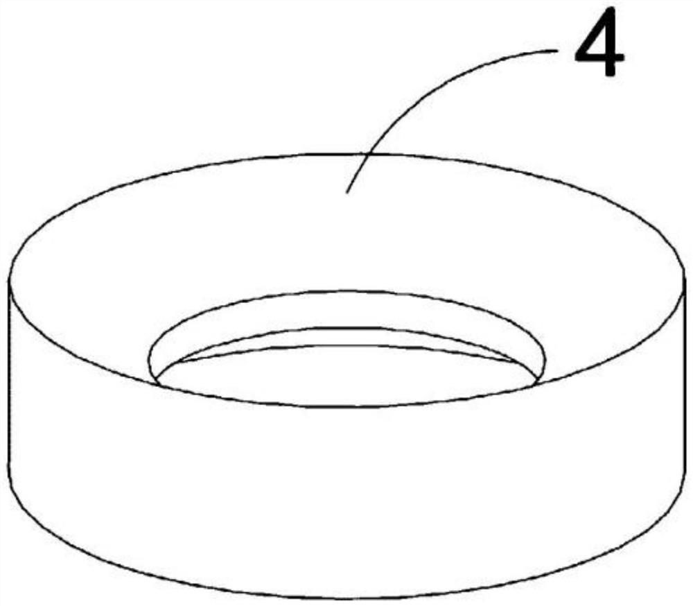 A feed mechanism for a biomass fuel furnace