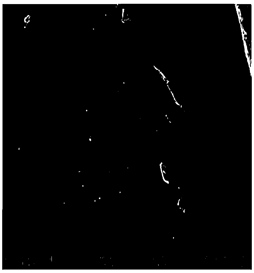 Preparation method of polyurethane-3-amino-5-methylisoxazole fiber and its application in the enrichment detection of heavy metals in food