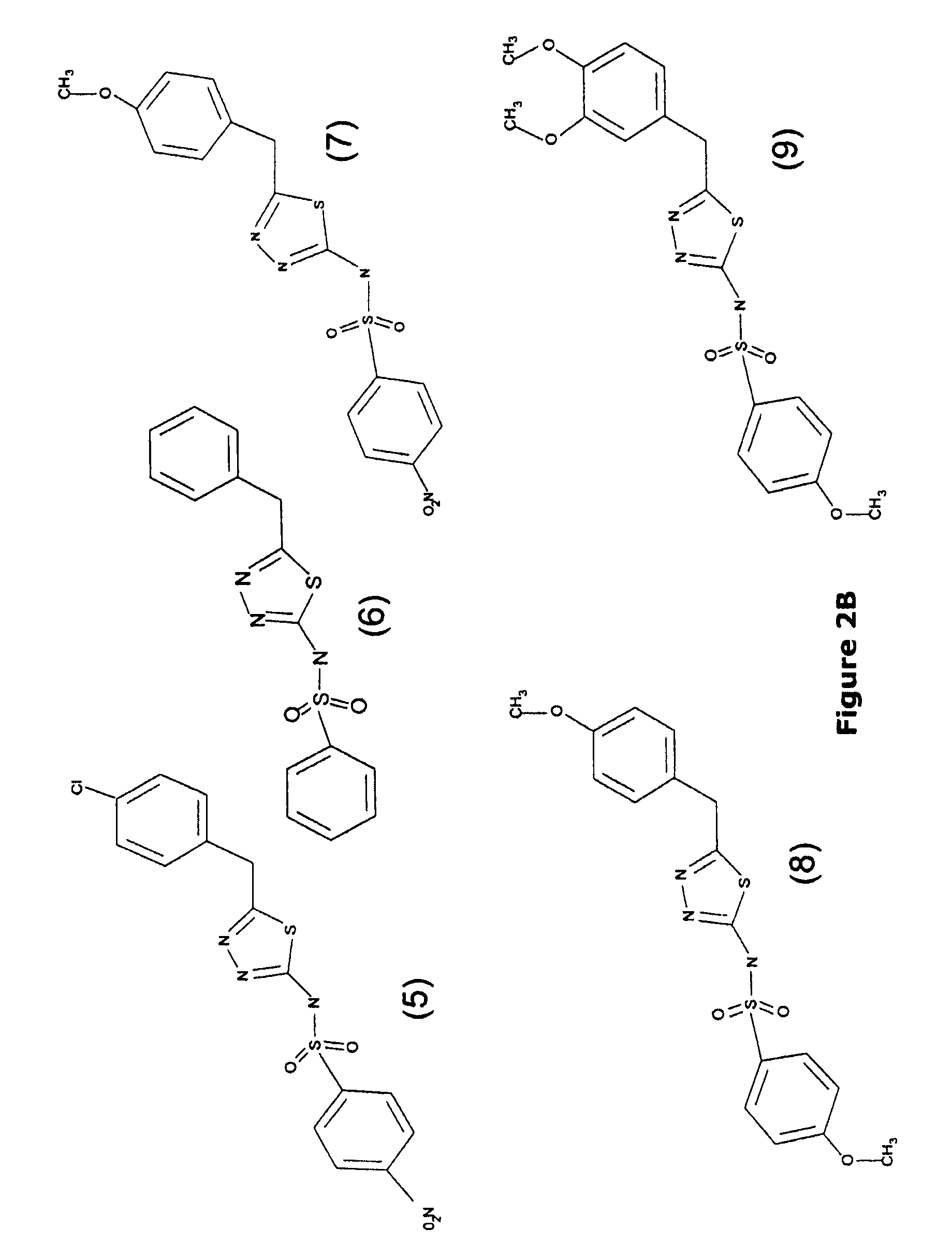 Gamma glutamyl transpeptidase inhibitors and methods of use