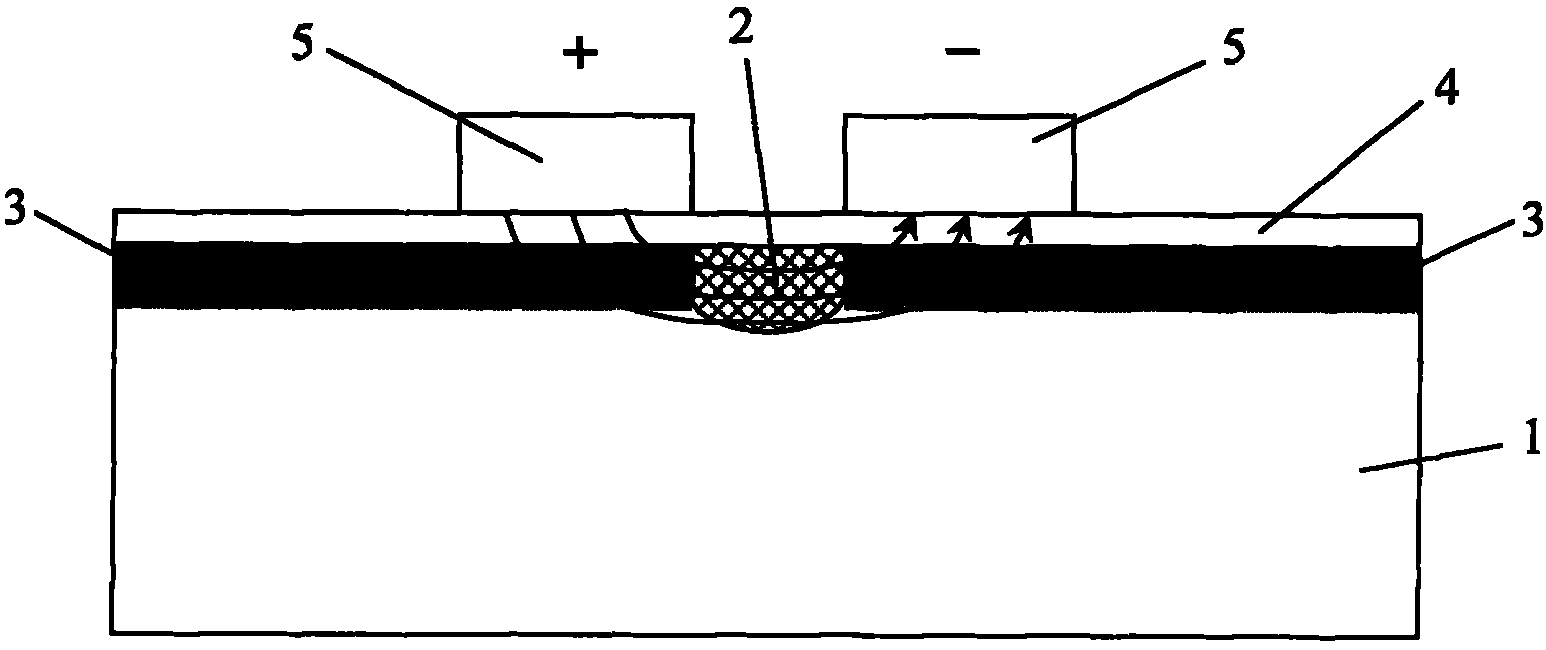 Dual-polarization-mode lithium niobate straight waveguide phase modulator and preparation method thereof