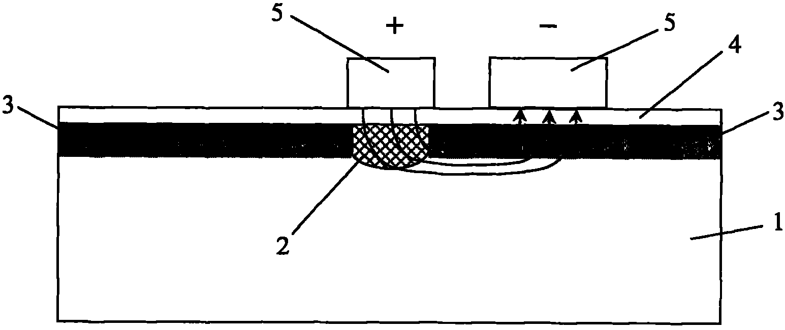 Dual-polarization-mode lithium niobate straight waveguide phase modulator and preparation method thereof