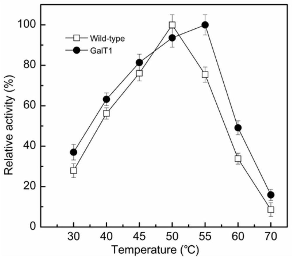 Artificially modified beta-galactosidase GaLT1 and application thereof in lactose hydrolysis
