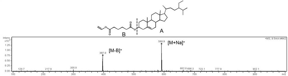 A method for preparing hydrophilic phytosterol dibasic acid sugar esters in an organic phase by enzymatic method