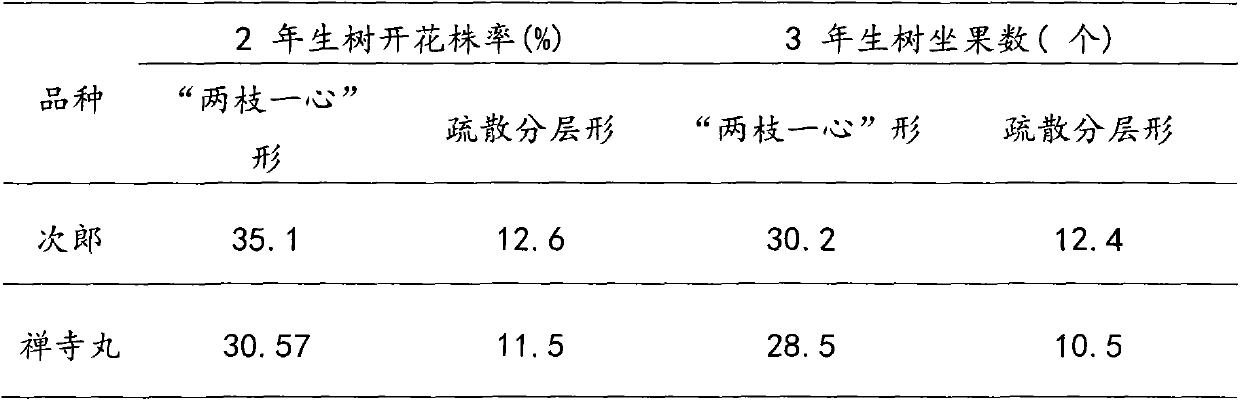 Reshaping trimming method for high-illumination-efficiency shape of close-planting persimmon tree