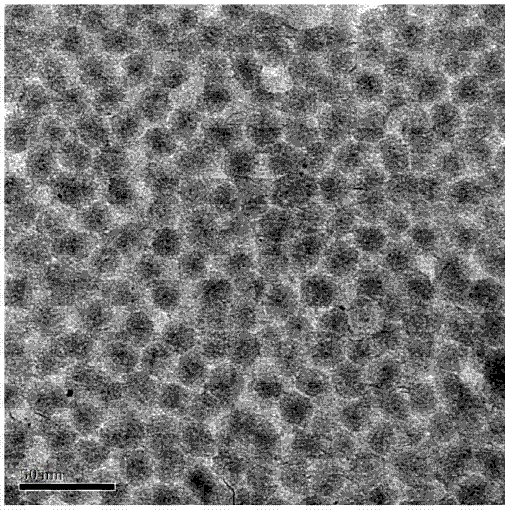 A kind of loaded arsenic agent and its preparation method and application