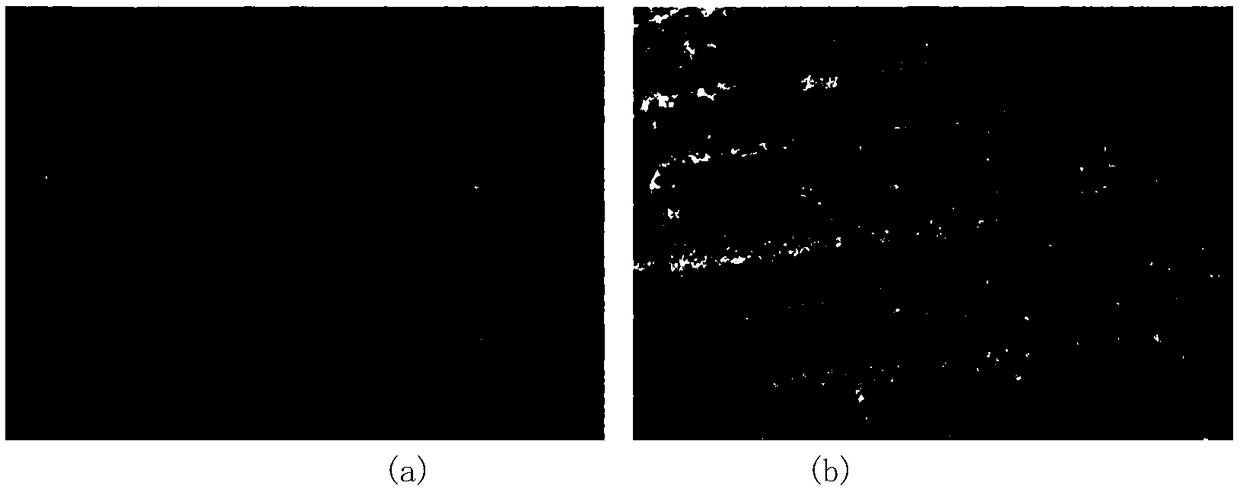 Cotton developmental phase automatic identification method based on image classification and target detection
