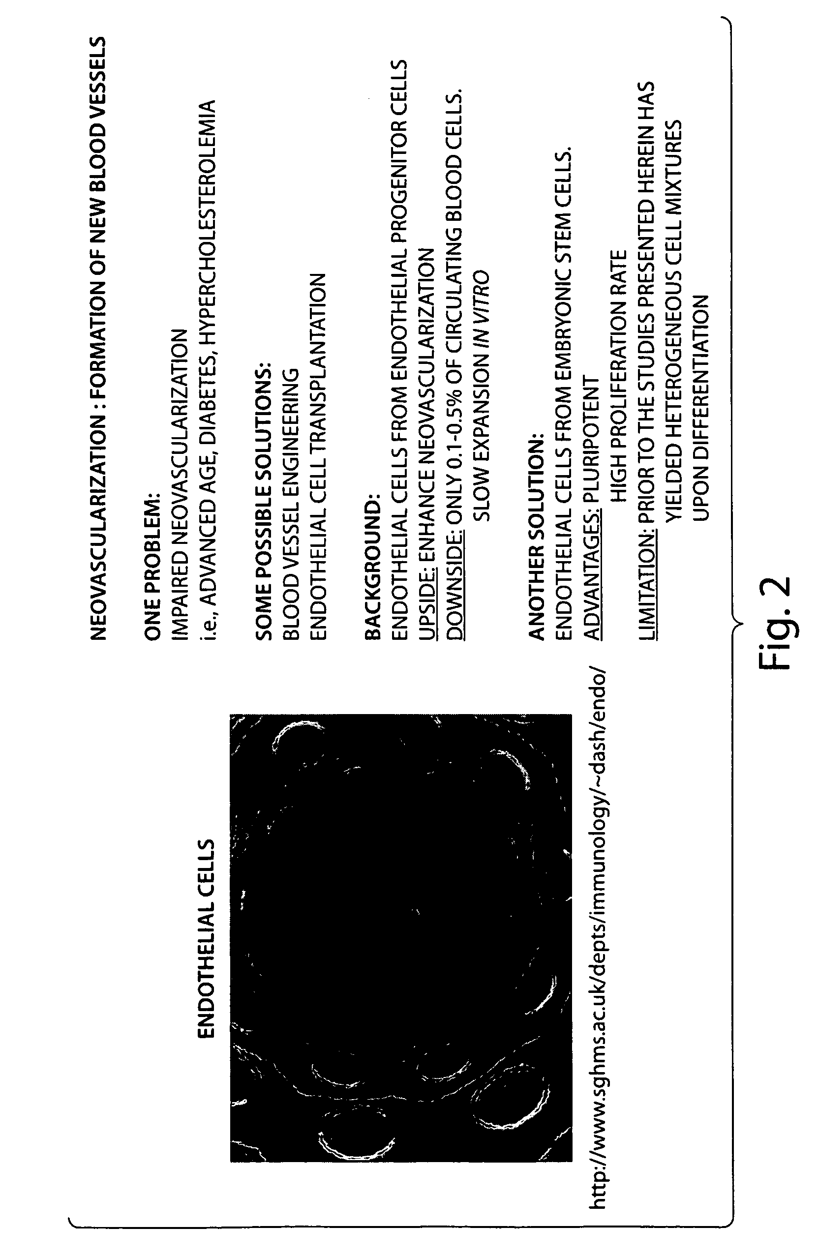 Methods and compositions related to modulating the extracellular stem cell environment