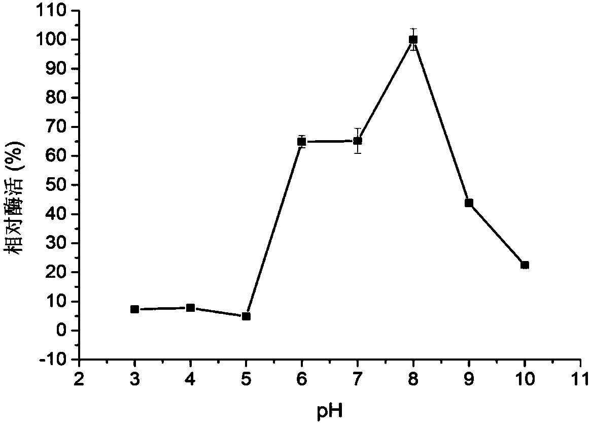 Chitoanase and application thereof to preparation of chitosan oligosaccharide