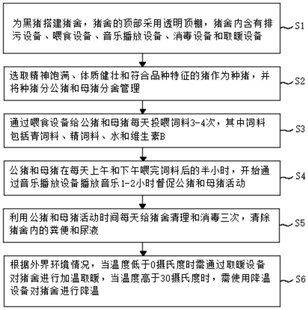 Black pig breeding method