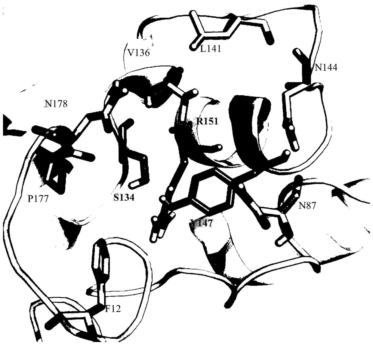 Halohydrin dehalogenase mutant and applications thereof