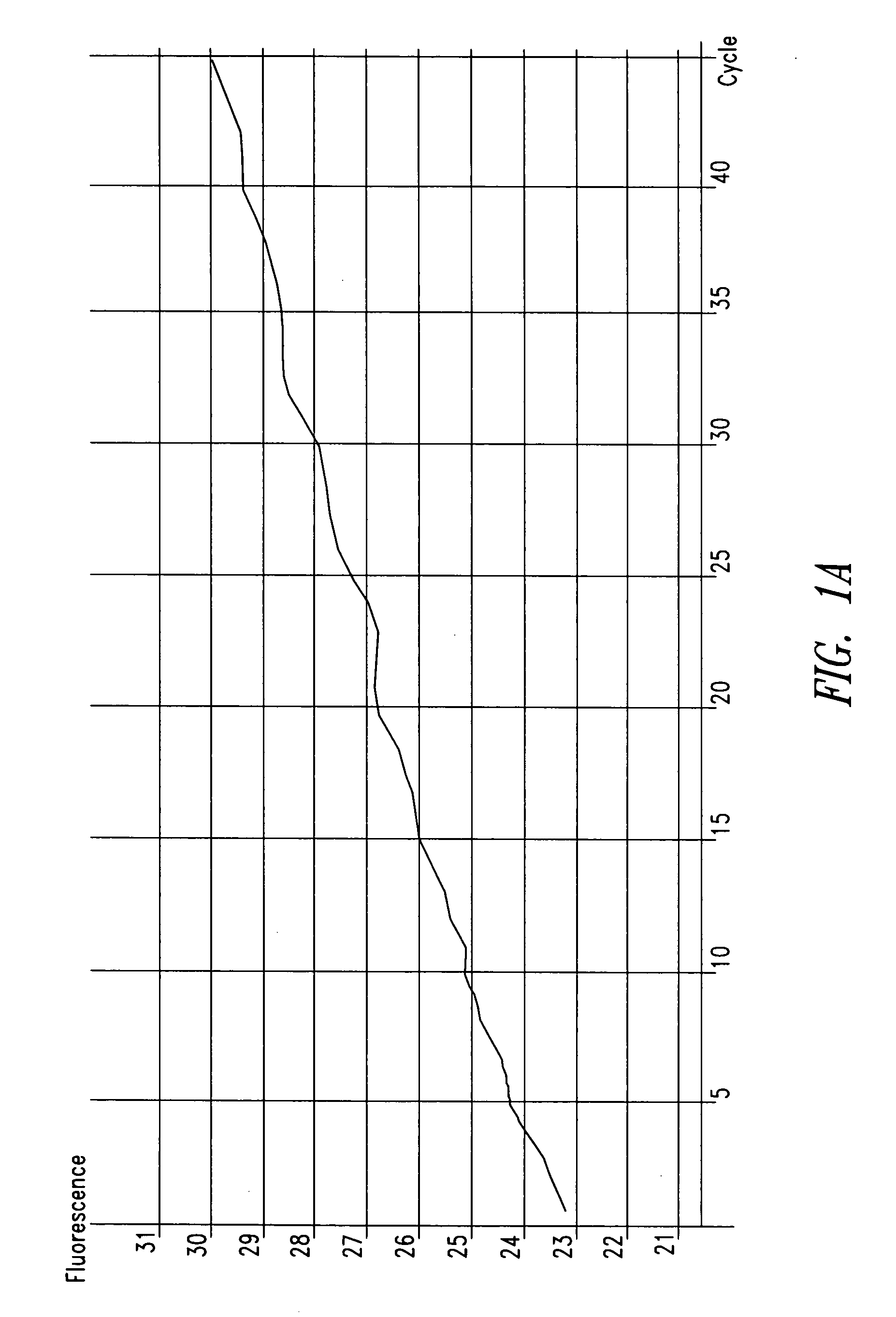 Methods and compositions for the detection of Chlamydia trachomatis