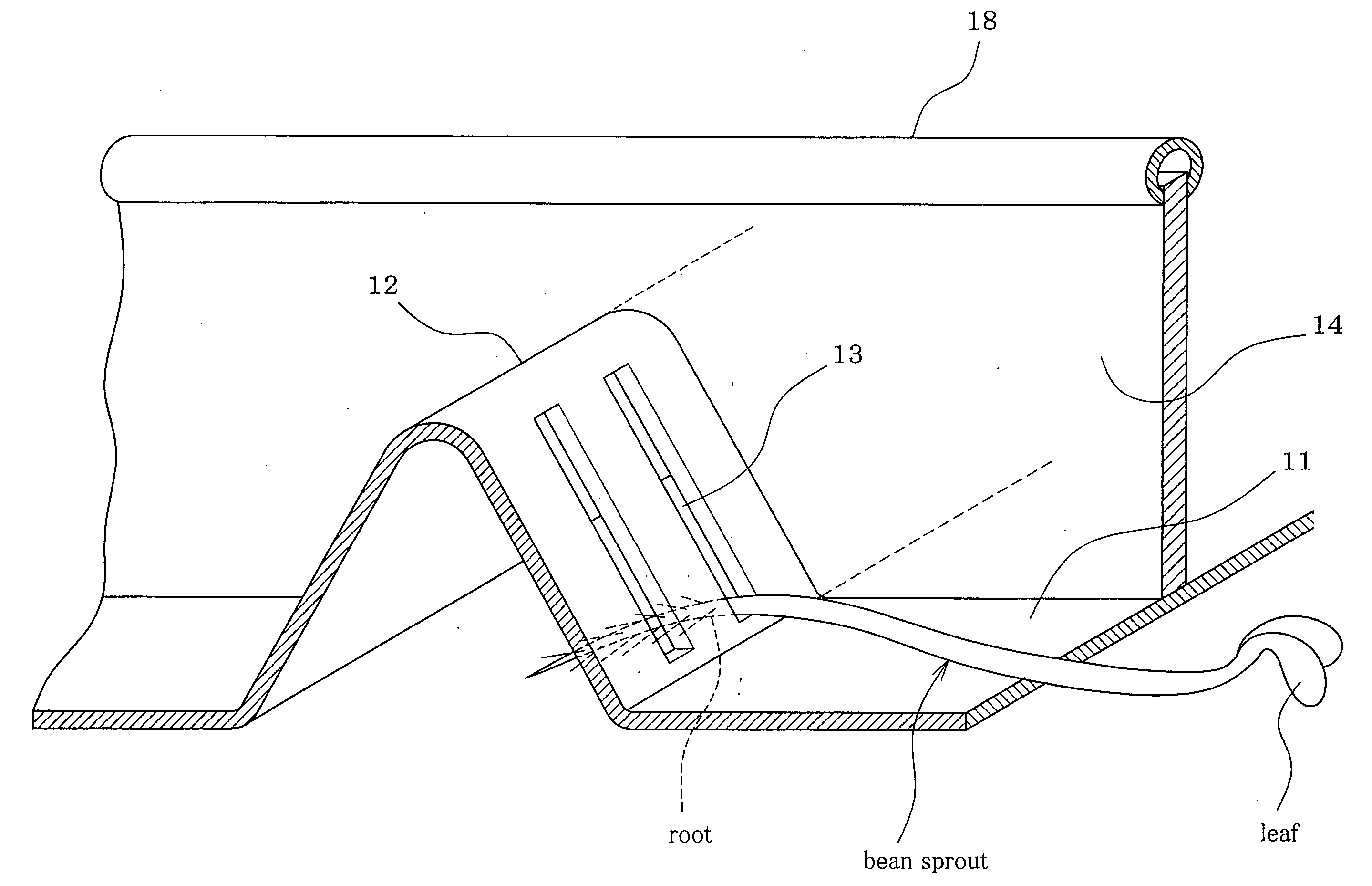 Method and apparatus for severing root of bean sprout