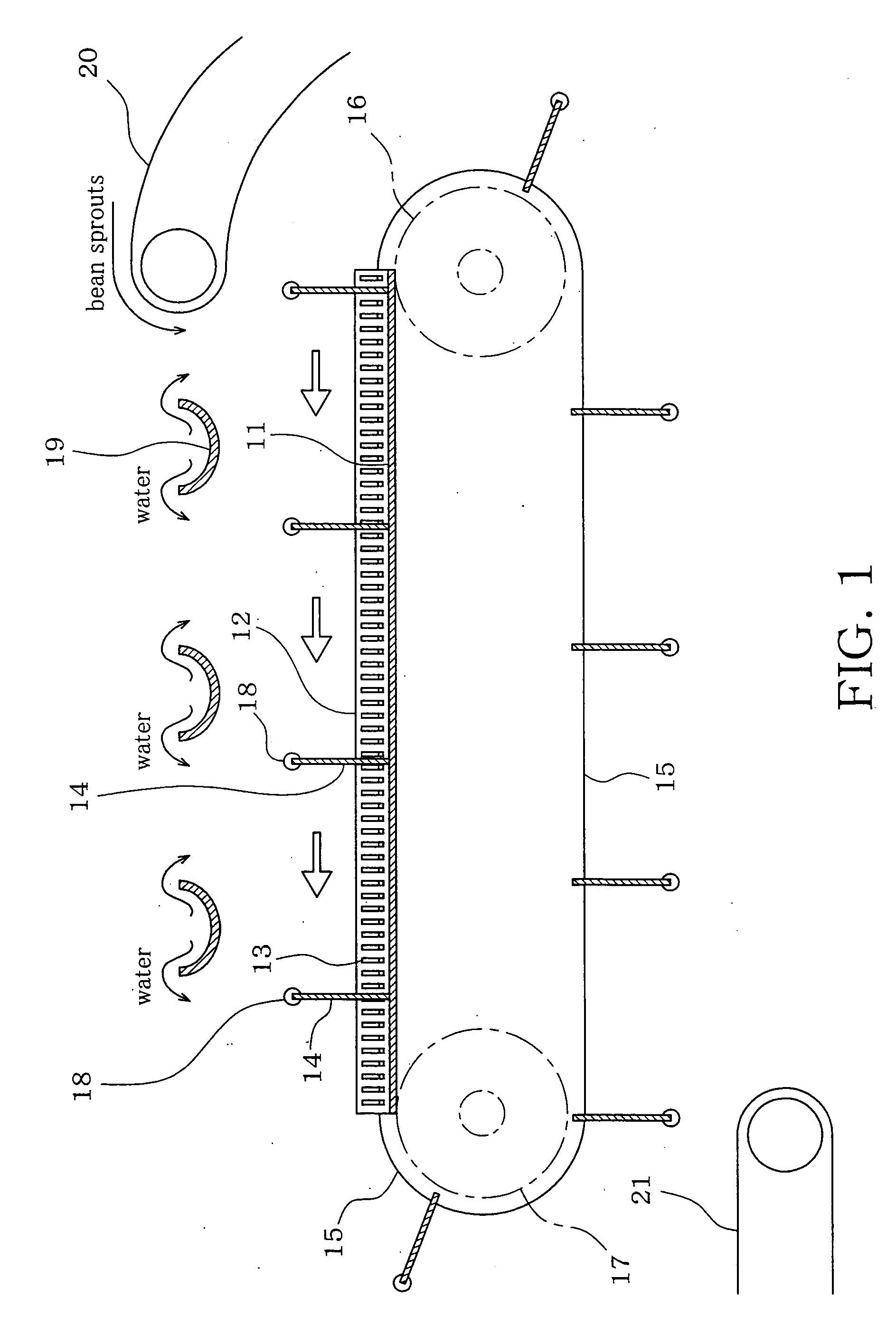 Method and apparatus for severing root of bean sprout