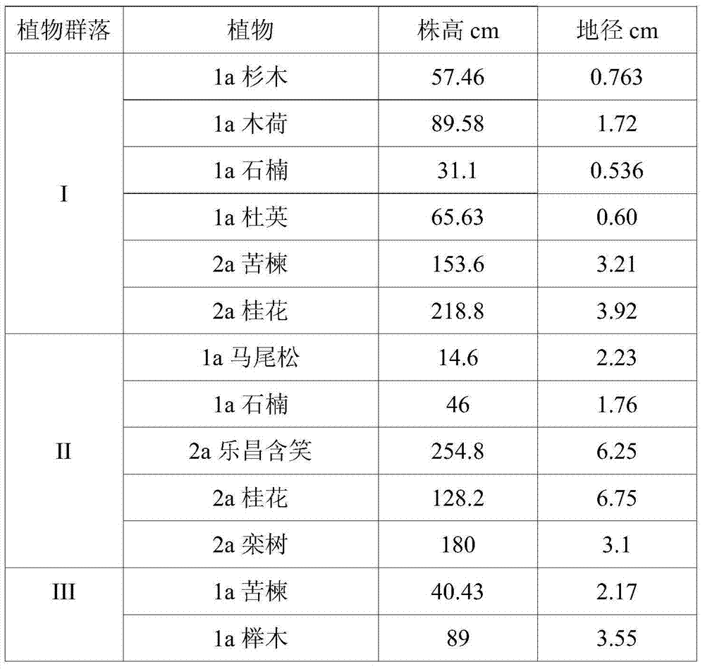 Organic bacterial manure for lead zinc ore contaminated soil remediation and preparation method of organic bacterial manure