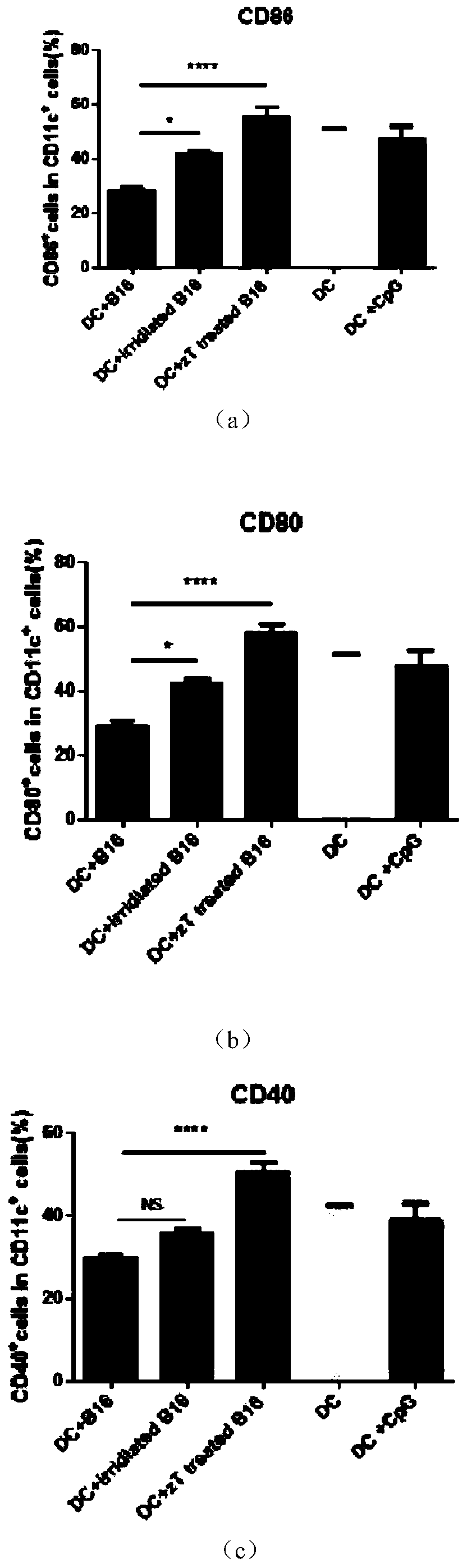 Whole-cell vaccine for inhibiting or preventing melanoma, and preparation method for whole-cell vaccine