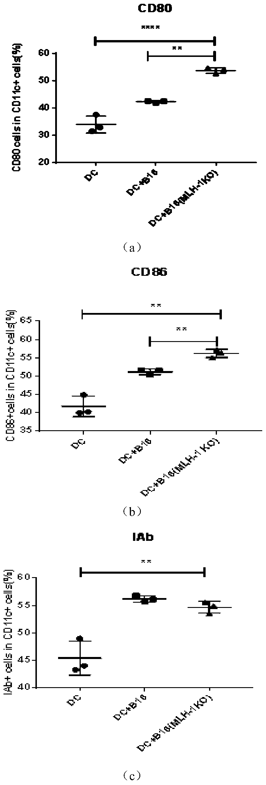 Whole-cell vaccine for inhibiting or preventing melanoma, and preparation method for whole-cell vaccine